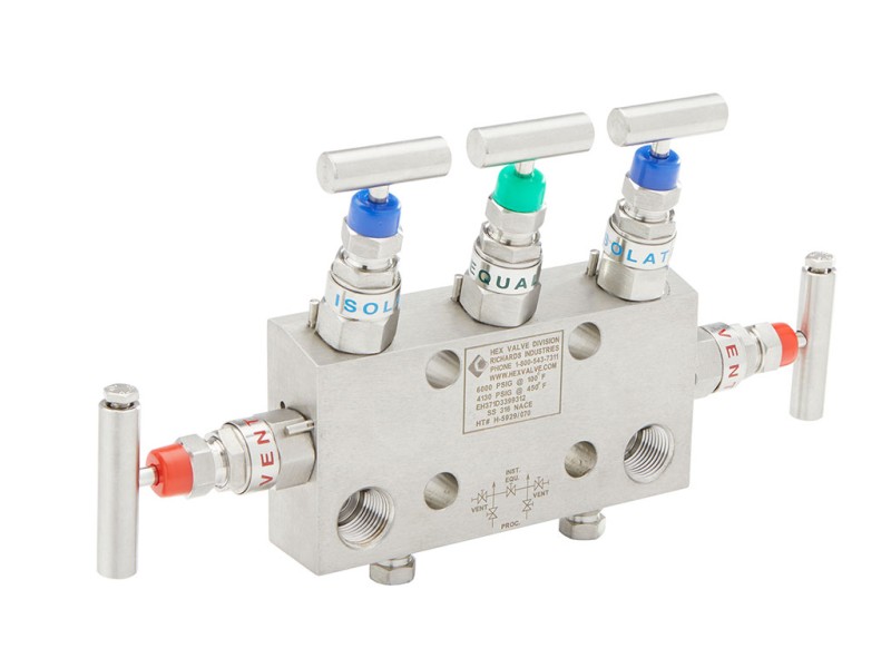 Manifold,Gauge,Needle,Block & Bleed Valves