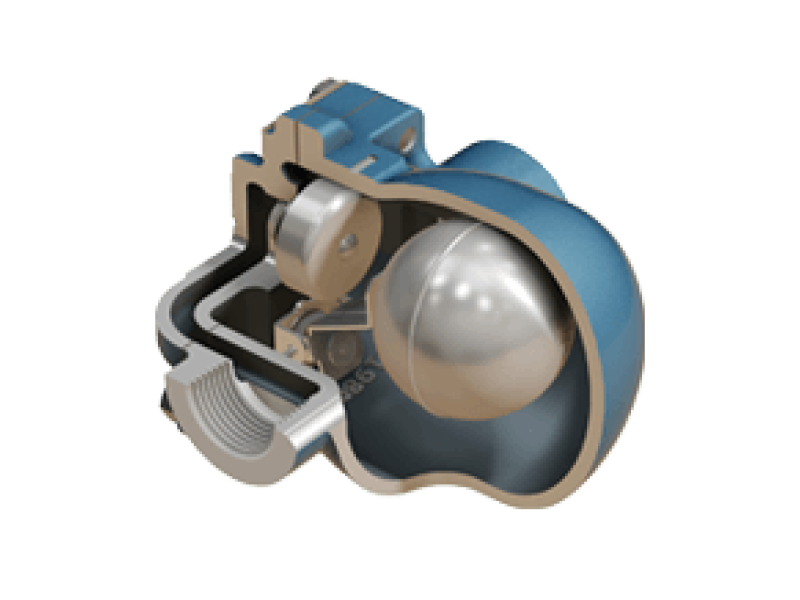 Steam Traps & Valves
