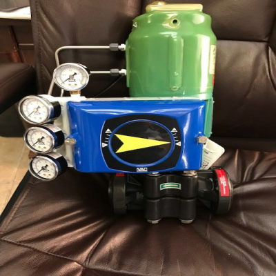 1000 Series 1" Globe Control Valve