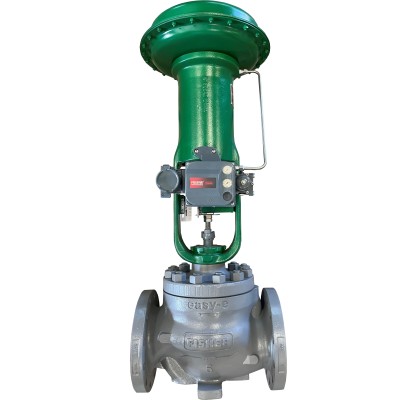 Fisher® E-Body Control Valves