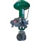 Fisher® E-Body Control Valves