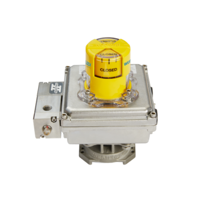 Quantum Intrinsically Safe