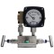 Diaphragm DP Gauges-Liquids and Gases