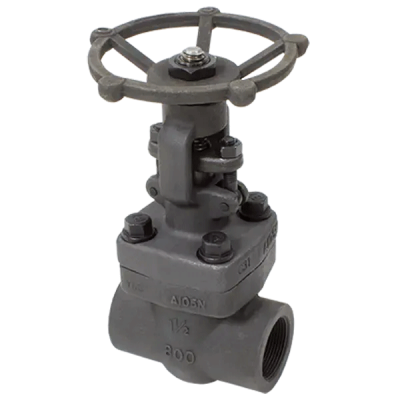 Elite GS08 Forged Steel, OS&Y Class 800 Gate Valve